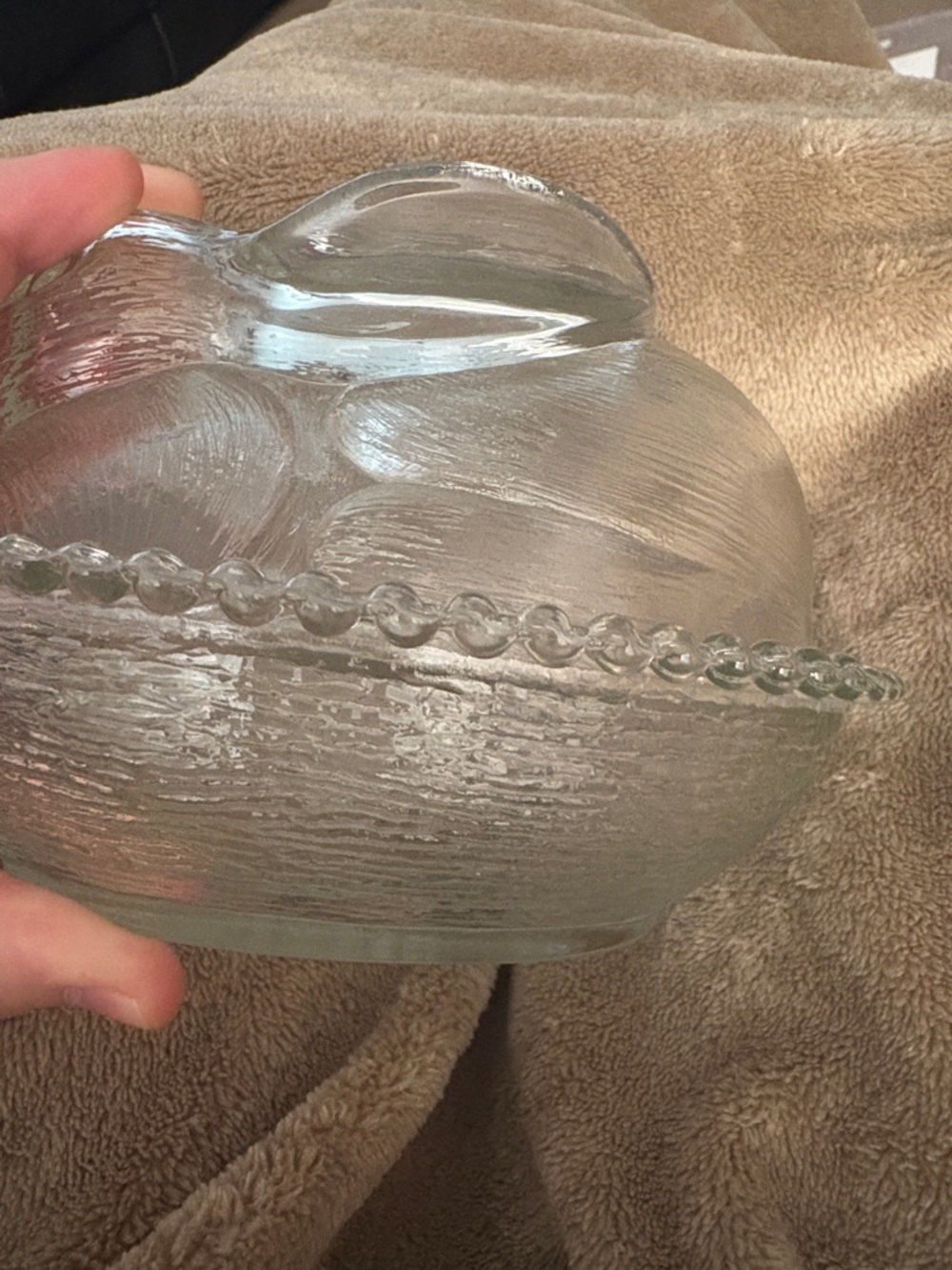 Indiana Glass Bunny on Nest - Picture 10 of 10